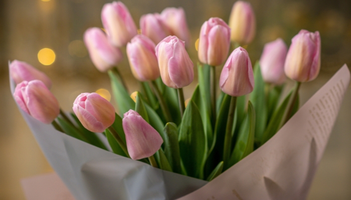 Bó hoa cưới Tulip