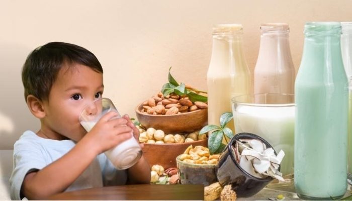 Các Loại Sữa Cho Trẻ Tự Kỷ Cực Tốt Mà Phụ Huynh Nên Biết