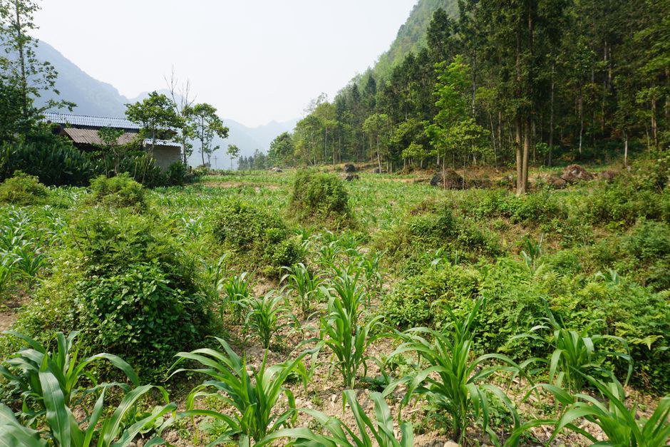 Chuẩn Bị Công Nghệ Cho Chuyến Ha Giang Loop 3 Days