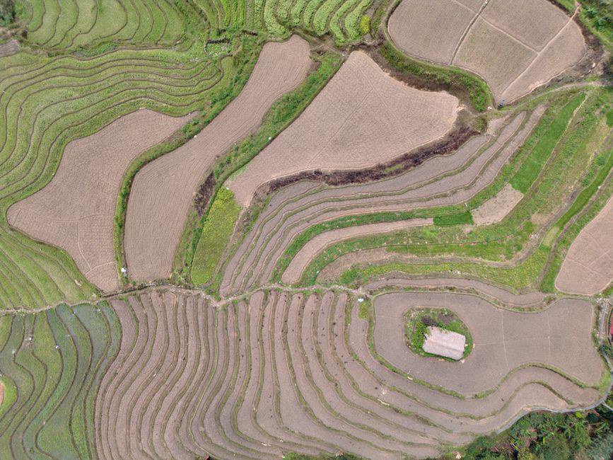 Vì Sao Lập Trình Viên Nên Thử Một Chuyến Ha Giang Loop 3 Day Vì Sao Lập Trình Viên Nên Thử Một Chuyến Ha Giang Loop 3 Day