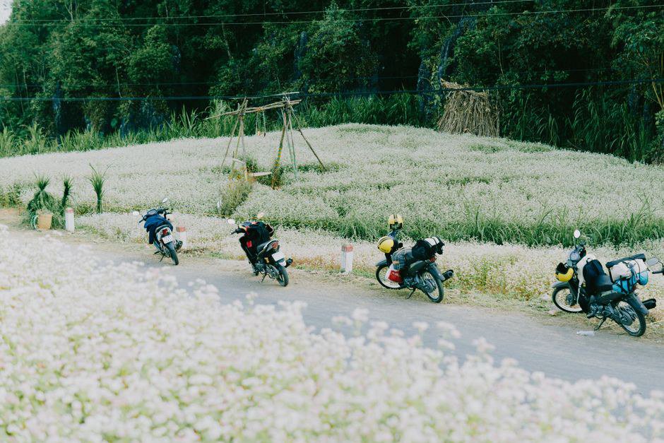 Ha Giang Motor Tour 4 Days 3 Nights Cho Dev .NET